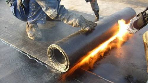 timg (1).jpg timg (1).jpg