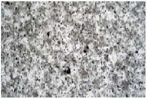 圖片8.png 圖片8.png