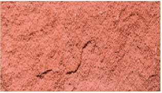 圖片19.png 圖片19.png